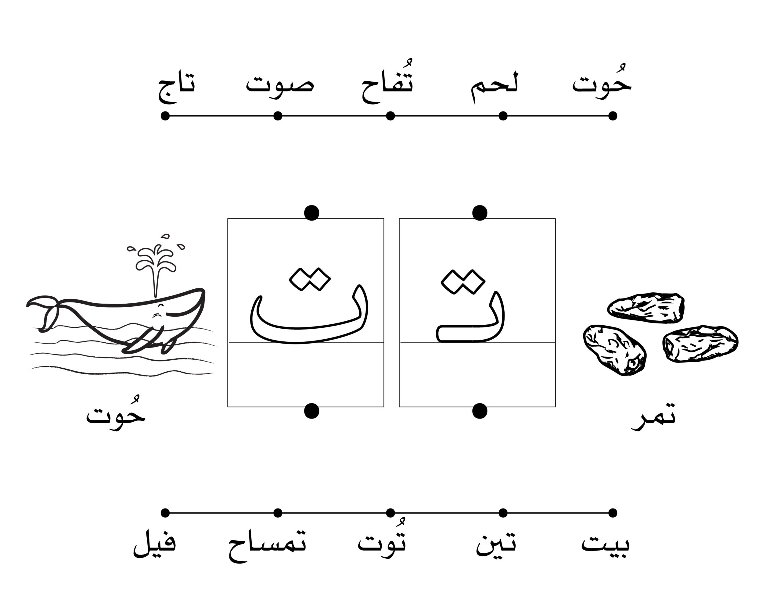 ورقة عمل حرف ت